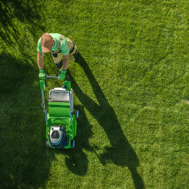 a good lawn man fort lauderdale lawn care